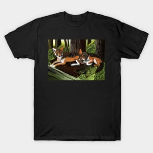 Red Wolves sleeping T-Shirt